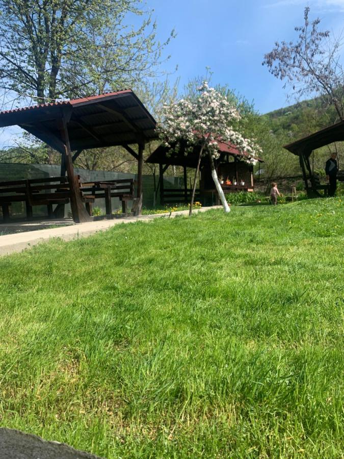 M Dey Hotel Vişeu de Sus Buitenkant foto