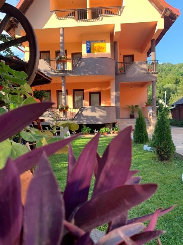 M Dey Hotel Vişeu de Sus Buitenkant foto
