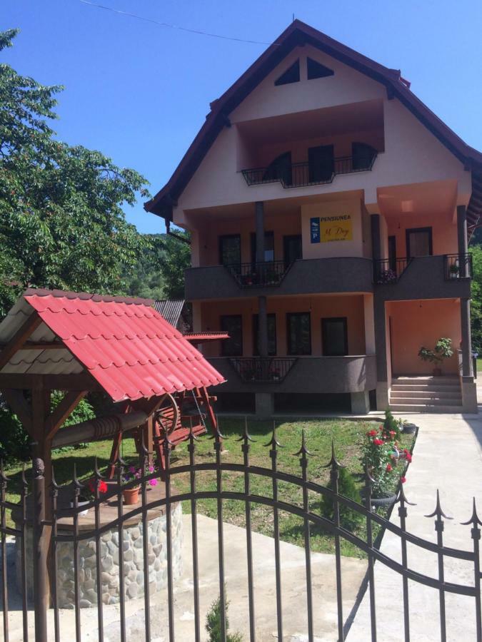 M Dey Hotel Vişeu de Sus Buitenkant foto